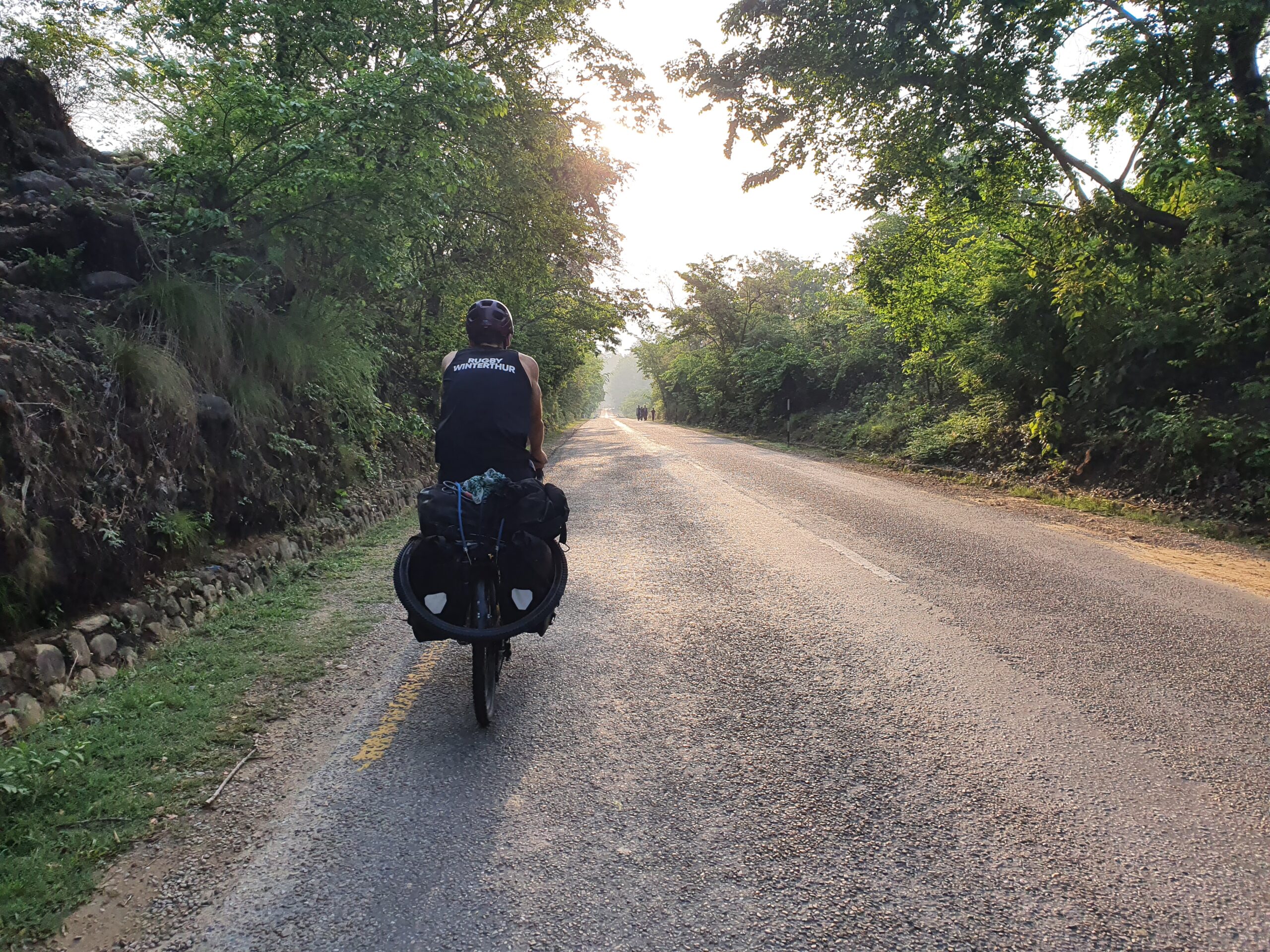 Tiger and Tik Tok in Terai