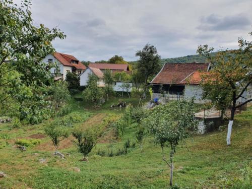 Auf dem Land in Kroatien