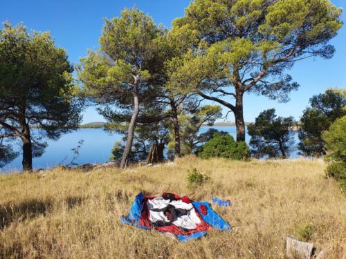 Beautiful spot somewhere at the coast. 