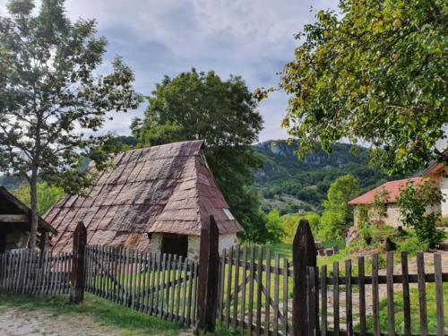 Das Dach aus Fässern- das sehe ich häufig auf dem Land. 