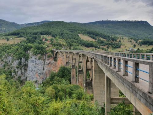 The impressive Tara bridge. 