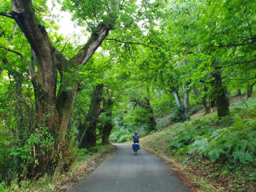 Magic green moments on our ride along lake Skodra.