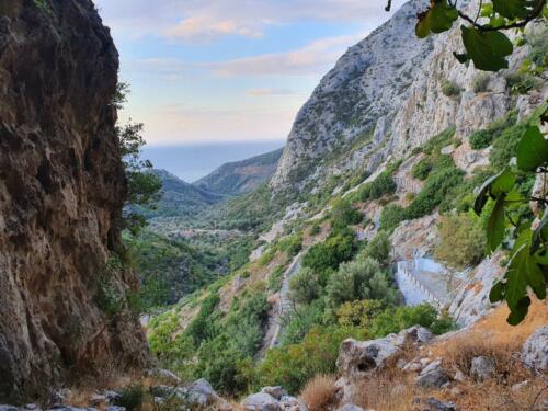 View from the cave.