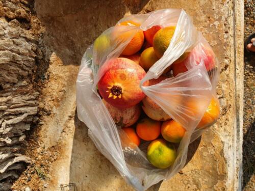 A man approaches out of nowhere and gives us this bag with fresh fruit from his trees. 