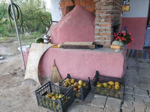 Bread oven in the garden of the lovely couple. 