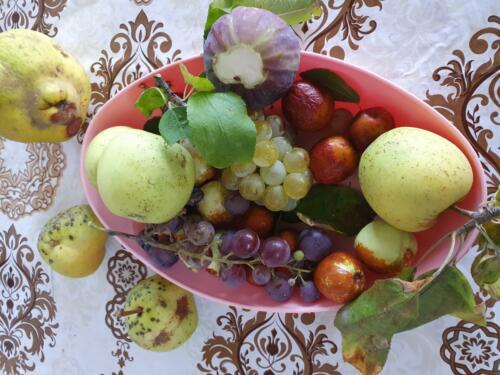 Treasures from the garden. 