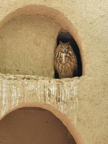 Isfahan, bird park