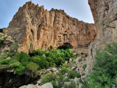 Canon walls at Tang-e Bostanak