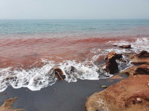 Die Farben in Hormuz.