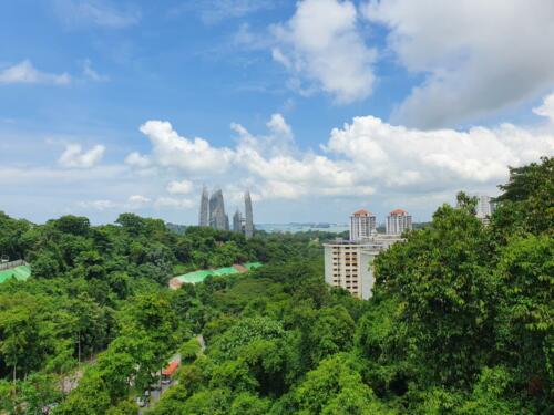 Singapur ist (auch) grün! 