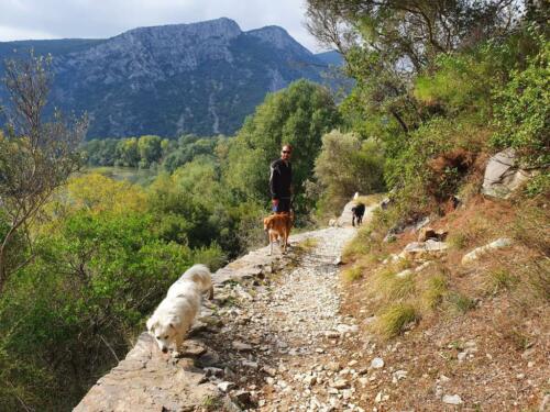 Nesos Valley (Greece).