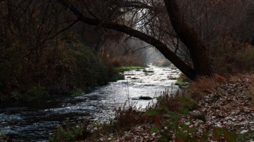 Ihlara Valley