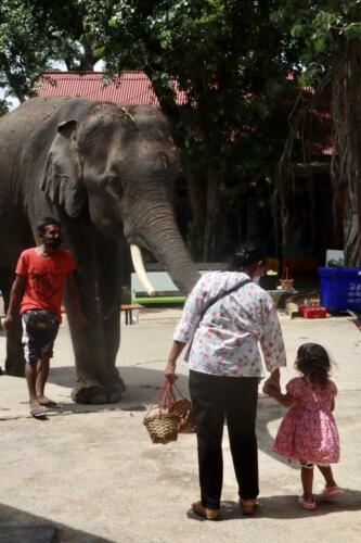 Ayutthaya