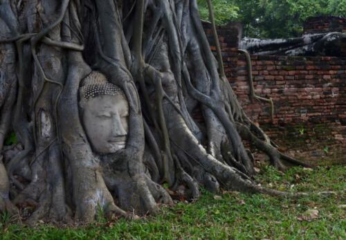 Ayutthaya