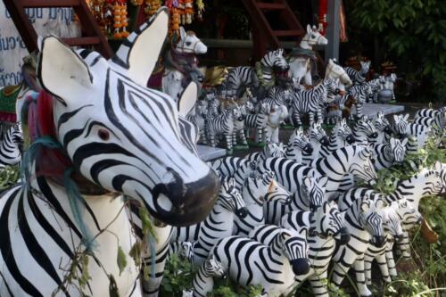 Zebra-loving spirit... 